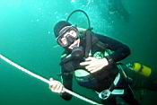 dscn5851_vincent.jpg