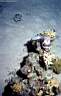 ballon_masque_73-09_p.jpg