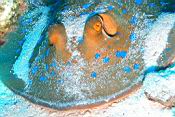 DSCN6624_c.JPG
