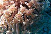 DSCN7421_c.JPG