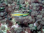 dscn4668.jpg