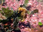 dscn4669.jpg