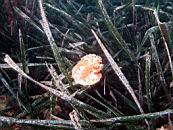 dscn4670.jpg