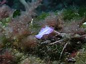 dscn4672.jpg