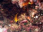 dscn4674.jpg