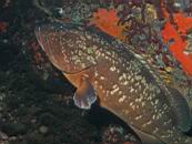 dscn4678.jpg