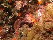 dscn4680.jpg