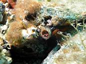dscn4685.jpg