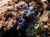 dscn4687.jpg
