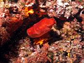 dscn4689.jpg