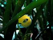 dscn4690.jpg