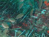 dscn4698.jpg