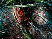 dscn4699.jpg